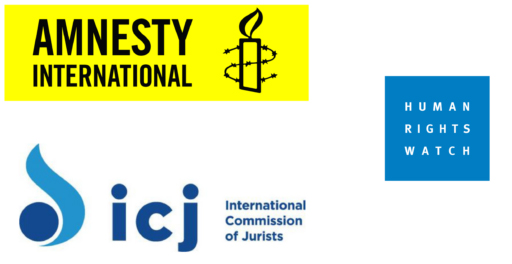 छनौट प्रकृयामा राजनीतिक हस्तक्षेपः अन्तर्राष्ट्रिय मानव अधिकार संस्था