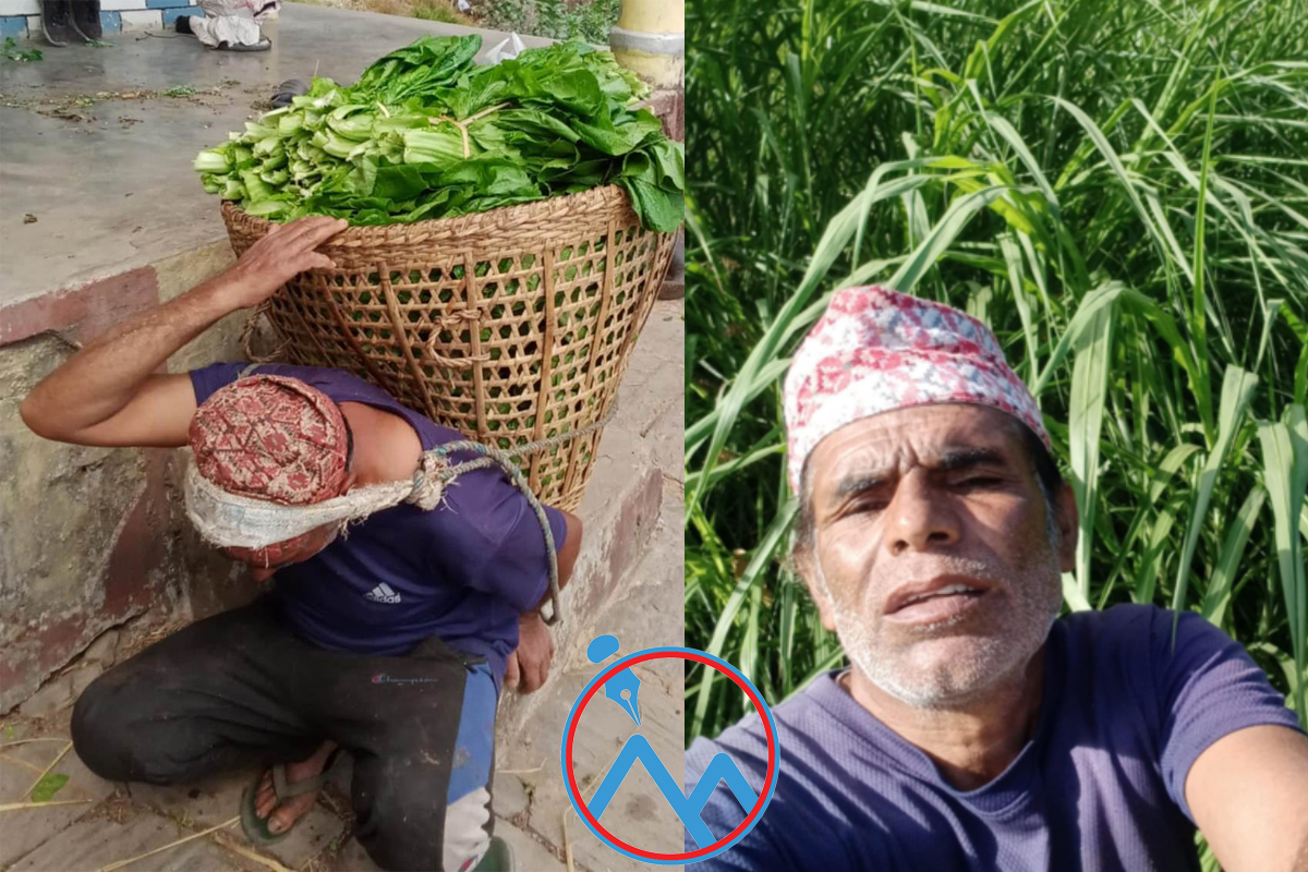 ईको भिलेजको सपना: बलराम पौडेलको अधुरो क्रान्ति !