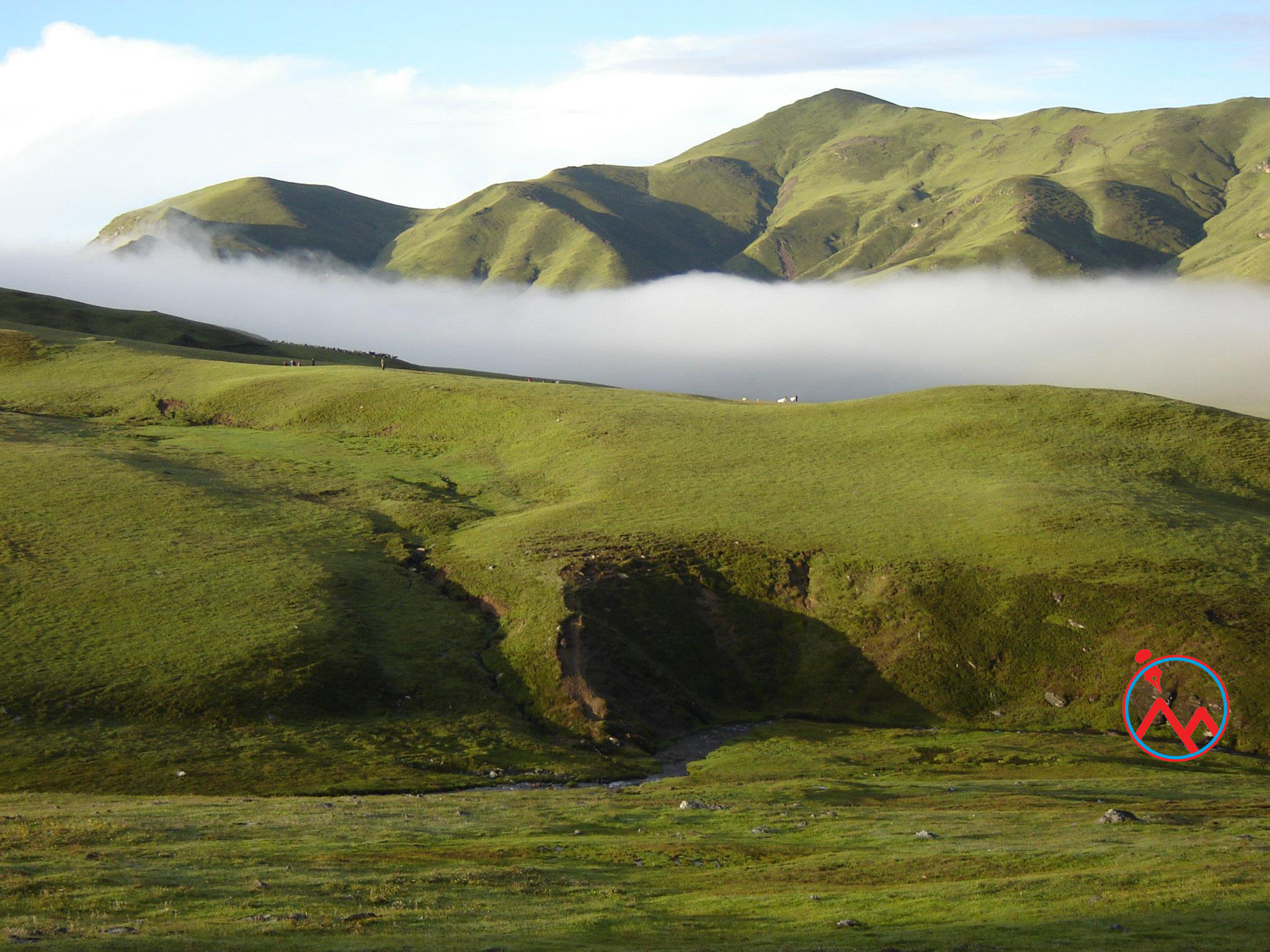 आहा बडीमालिका !