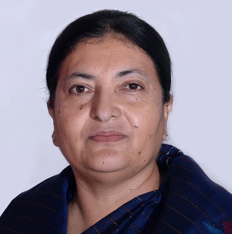 मेरो सदस्यता मात्र होइन, लोकतान्त्रिक संस्कारको प्रश्न उठेको छ