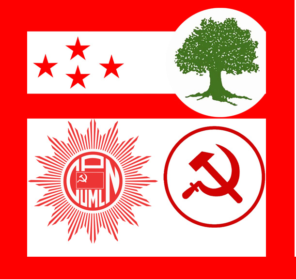 पार्टीहरुको पुनर्गठन : पेचिलो सवाल