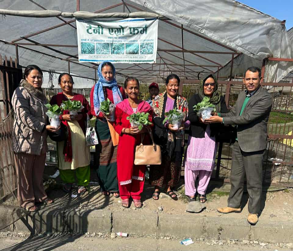 पोखरा-१५ मा तरकारीका बेर्ना, बीउ र मल वितरण