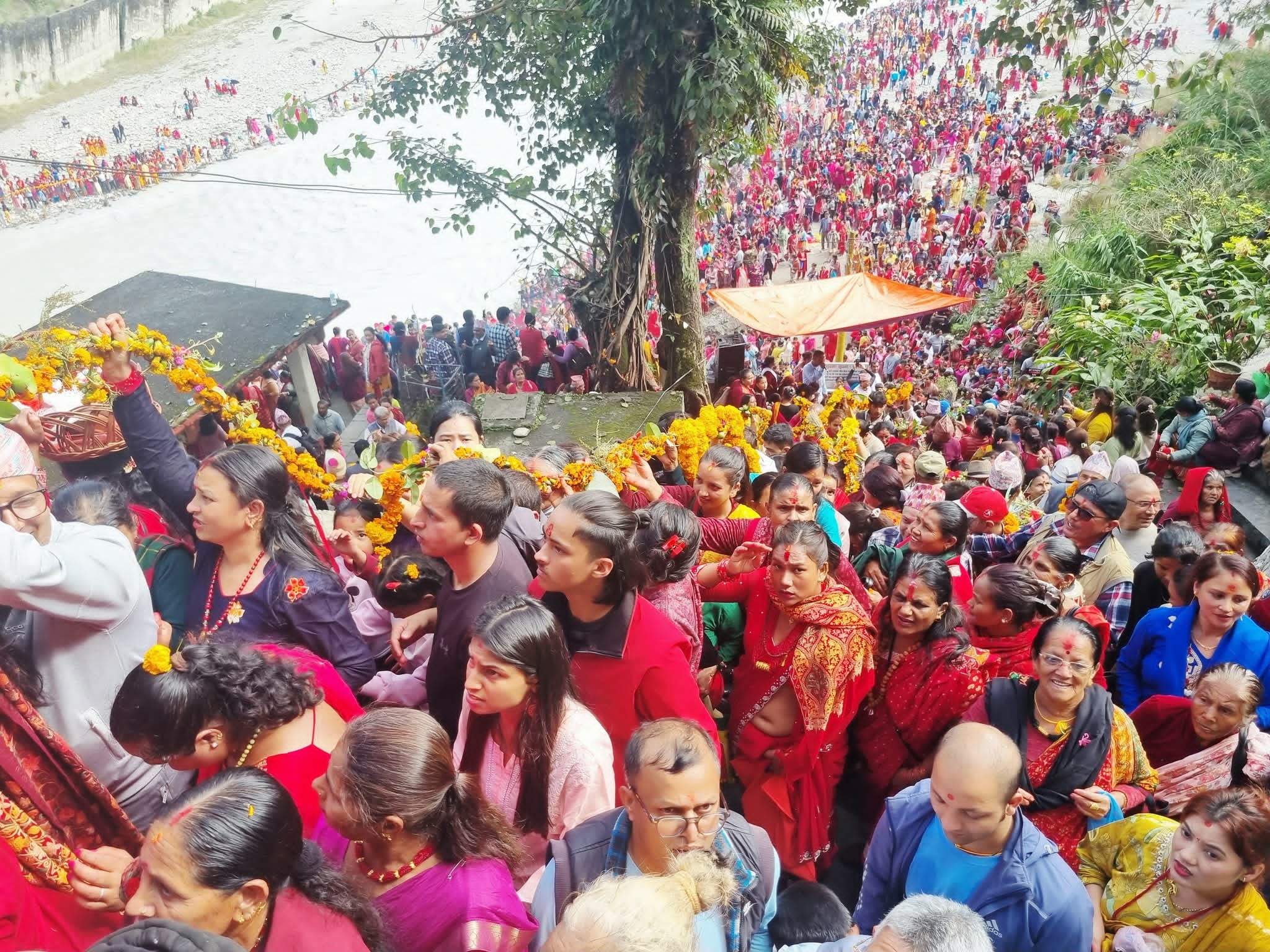 घरमा तुलसी विवाह गरी हरिबोधिनी एकादशी पर्व मनाइयो