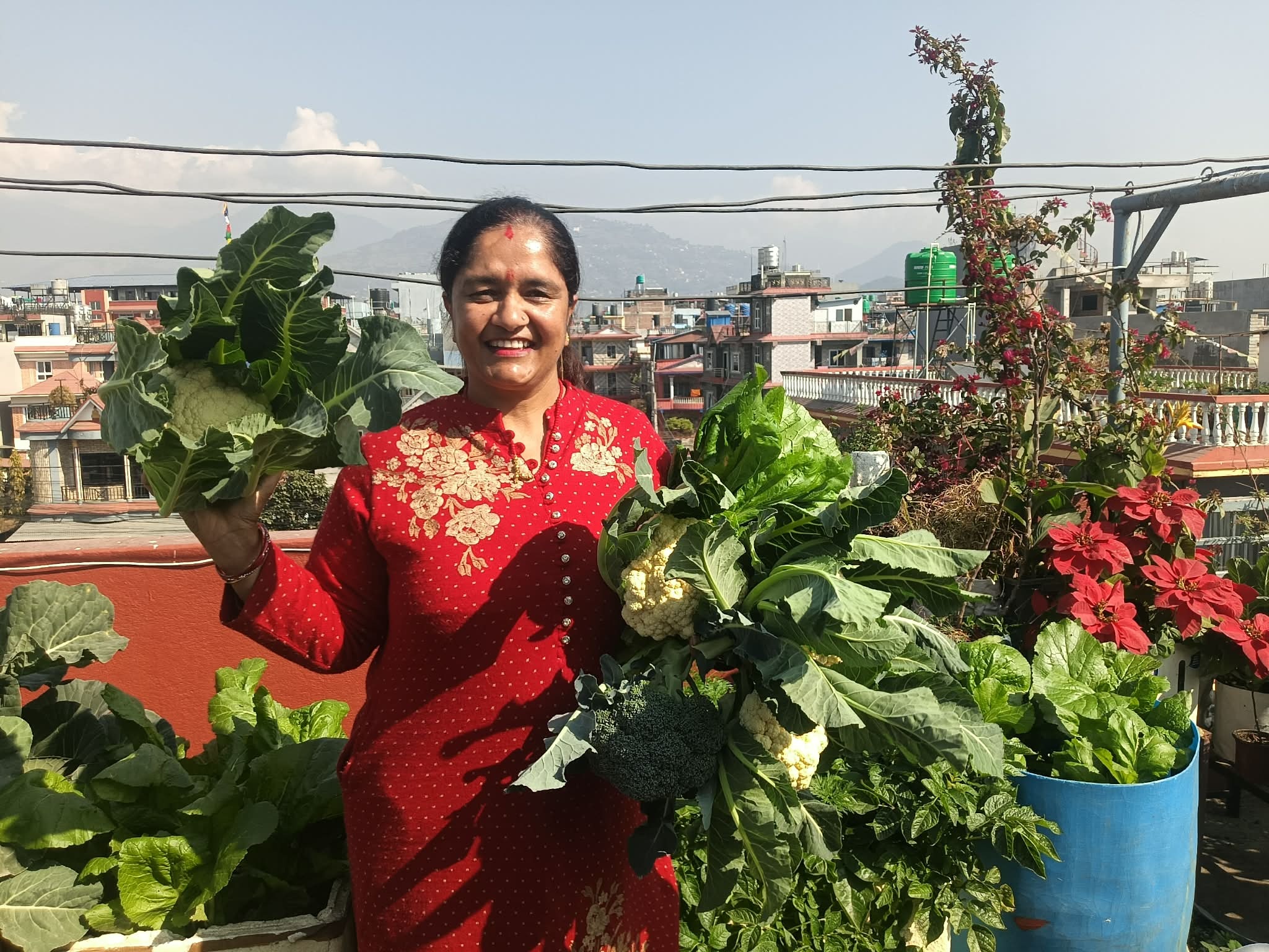 कौसीमा उम्रिएको हरियाली सपना