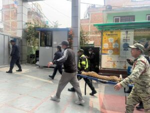 स्कूलको स्टोरमा चितुवा, डार्ट गरेर उद्धार !