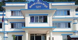 सिन्धुलीमा एक वर्षमा १ सय १७ घरेलु हिंसाका उजुरी, १ सय २ मिलापत्रमार्फत टुङ्गिए