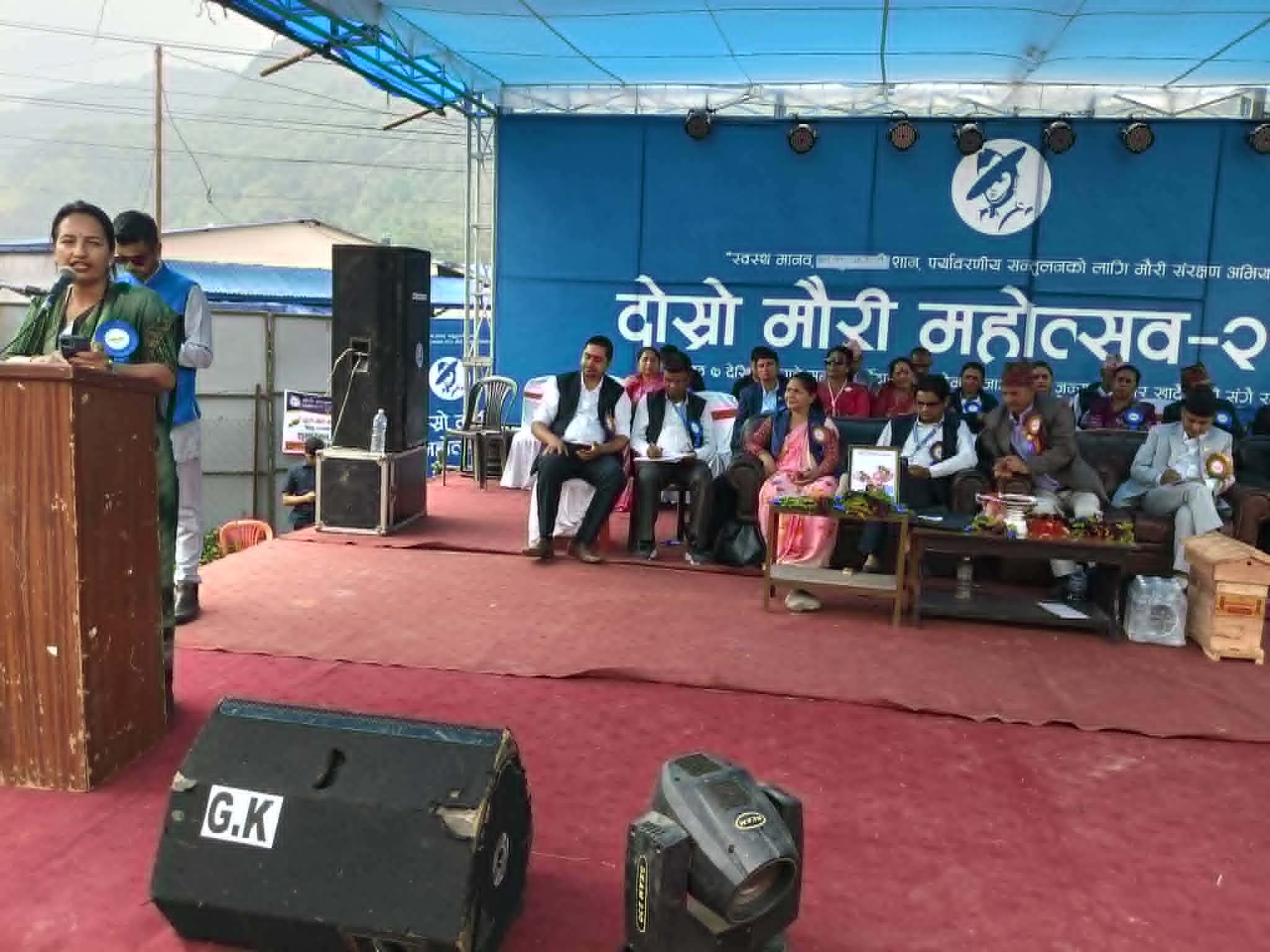पोखरामा ‘दोस्रो हेम्जा मौरी महोत्सव’ सुरु