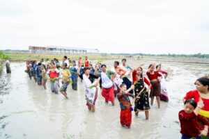 विद्यार्थीसँगै धान रोप्दै चुडाकवि स्मृति प्रतिष्ठानले मनायो राष्ट्रिय धान दिवस