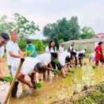 सिन्धुलीमा २३औँ राष्ट्रिय धान दिवस तथा रोपाइँ महोत्सव मनाइयो