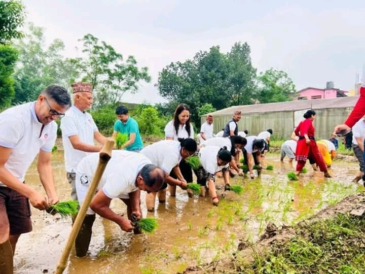सिन्धुलीमा २३औँ राष्ट्रिय धान दिवस तथा रोपाइँ महोत्सव मनाइयो