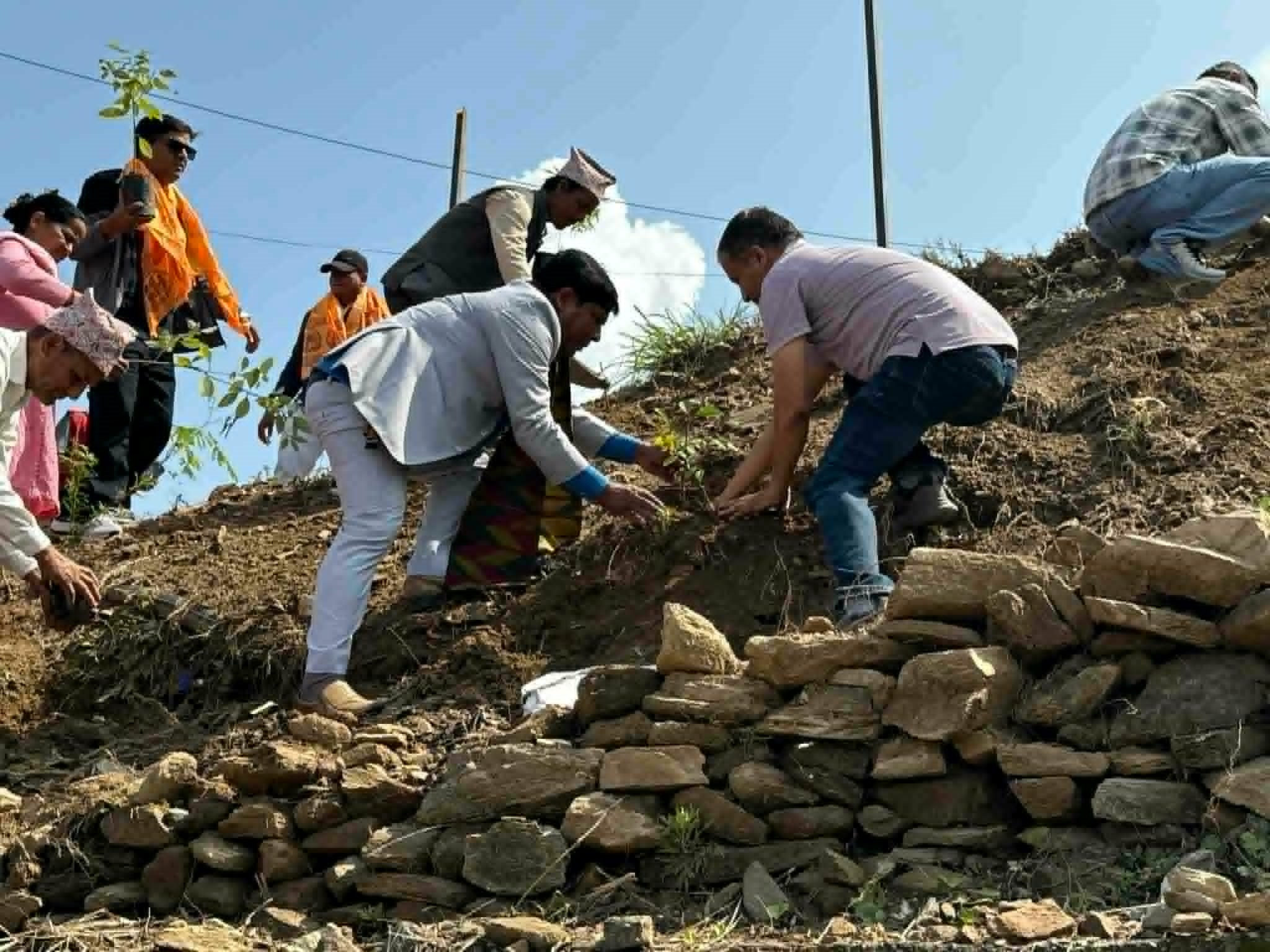 पोखरा-२८ स्थित त्रिलोकेश्वर मन्दिर परिसरमा वृक्षारोपण