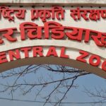 अर्को सूचना जारी नभएसम्मका लागि चिडियाखाना बन्द