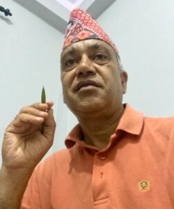 साउन महिना र हरियो पहिरनः वैदिक, पौराणिक, वैज्ञानिक तथा पर्यावरणीय आधारहरूको विश्लेयण