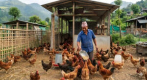 कृषिमा लगानी : आधुनिक प्रविधियुक्त खेतीतर्फ किसान, हरिहरपुरगढीको अभियान