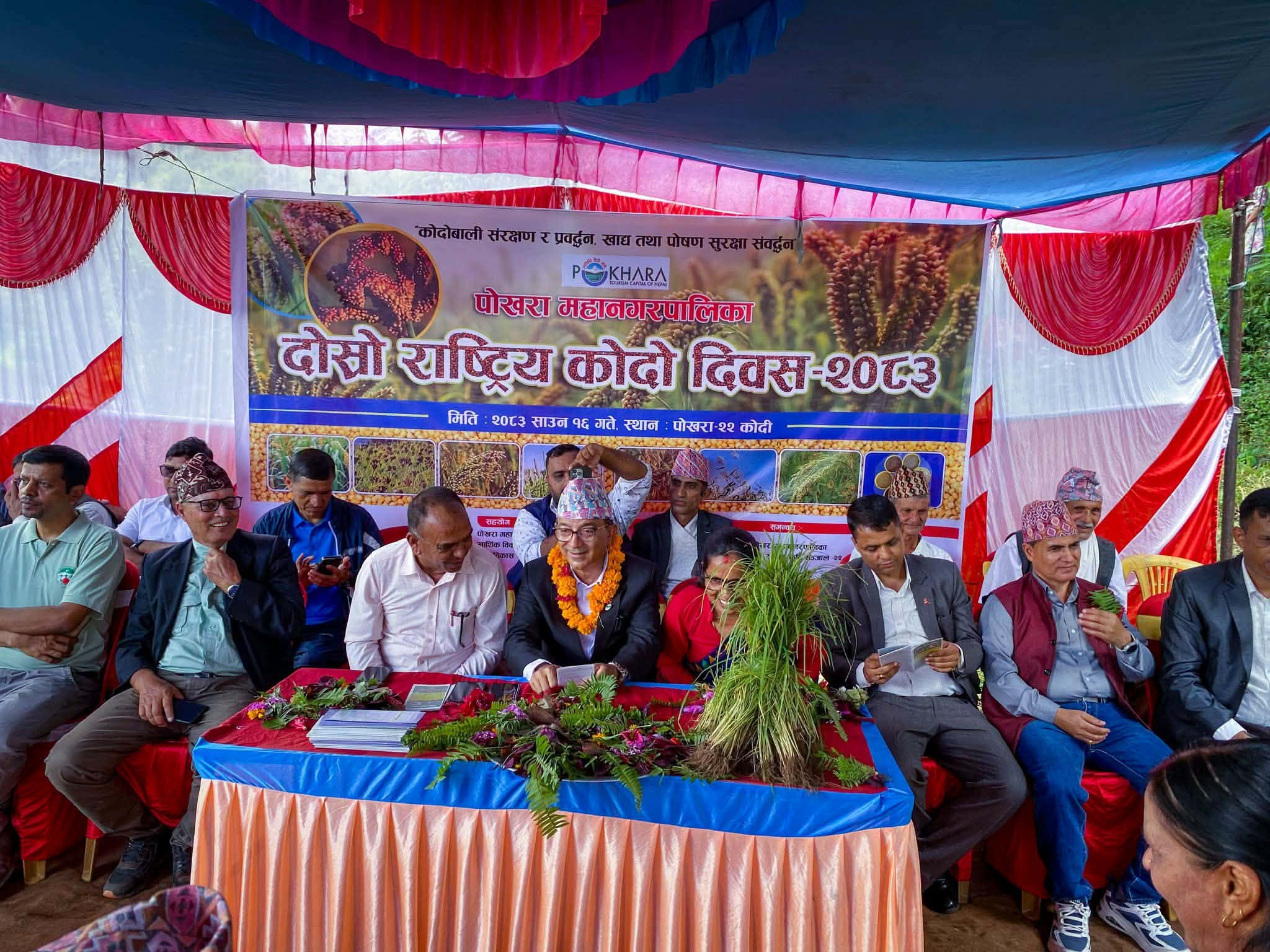 कोदो संरक्षण र प्रवर्धनमा महानगर प्रतिबद्ध : नगर प्रमुख आचार्य