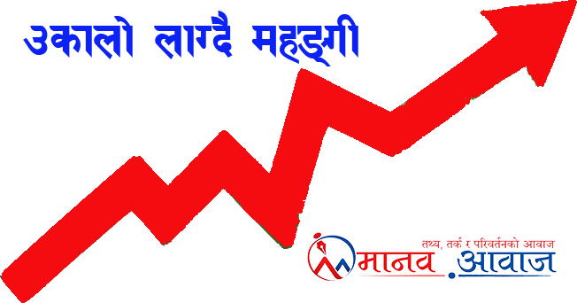 चाडपर्व नजिकिँदै गर्दा सिन्धुली बजारमा चरम महङ्गी, उपभोक्ताको ढाड सेकिँदै