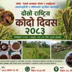 पोखरामा दोस्रो राष्ट्रिय कोदो दिवसका अवसरमा विविध कार्यक्रम