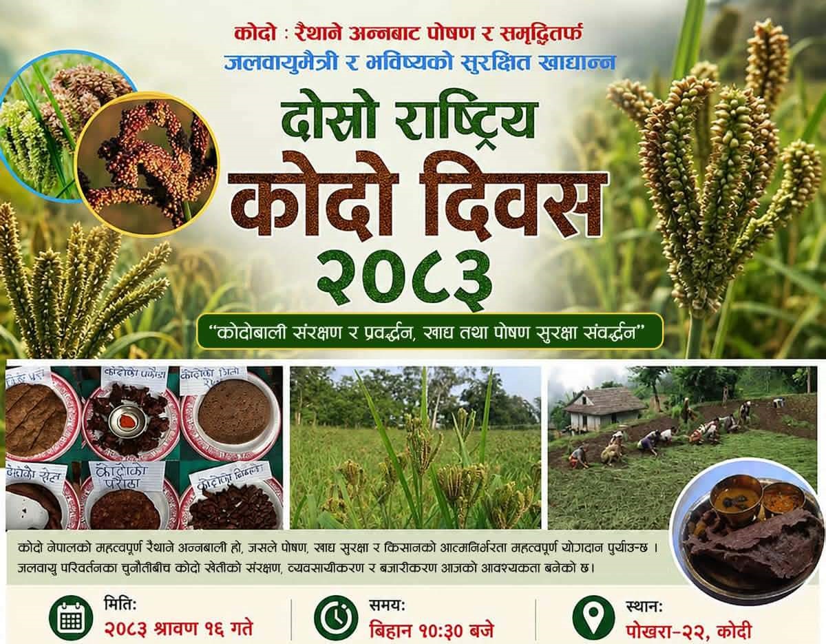 पोखरामा दोस्रो राष्ट्रिय कोदो दिवसका अवसरमा विविध कार्यक्रम